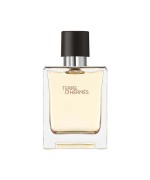Hermes Terre D'Hermes Edt 100 ML Erkek Parfüm - THEP