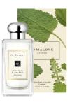 Jo Malone London Wood Sage & Sea Salt 100ml Bayan Parfüm
