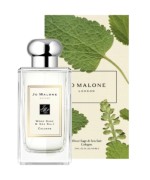 Jo Malone London Wood Sage & Sea Salt 100ml Bayan Parfüm